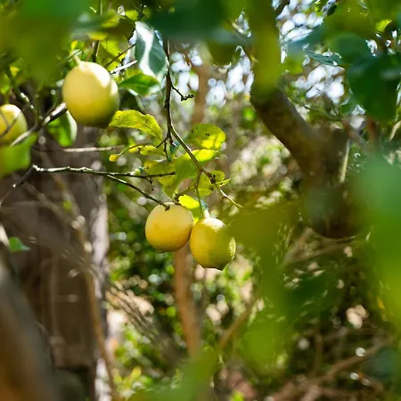 別荘 Il Bilo Di Giuseppe 458 *